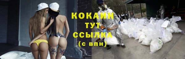 крисы Нягань