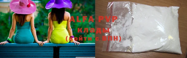 альфа пвп Новодвинск