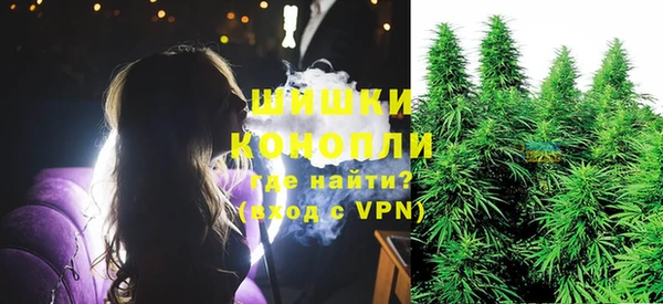 альфа пвп Новодвинск