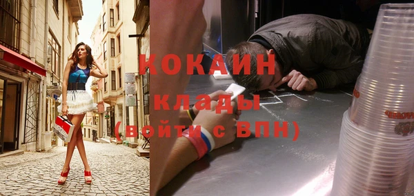 стаф Новозыбков