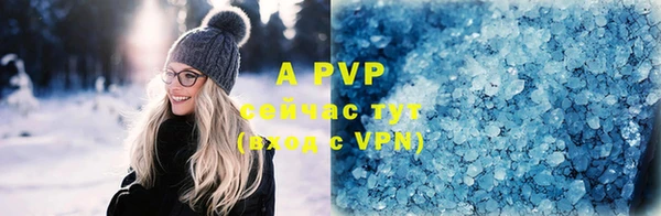 альфа пвп Новодвинск