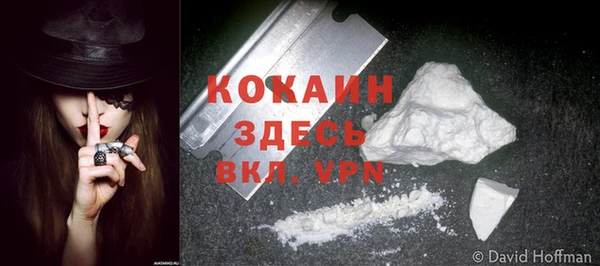 крисы Нягань