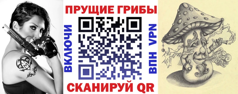 продажа наркотиков  Котельнич  Псилоцибиновые грибы прущие грибы 