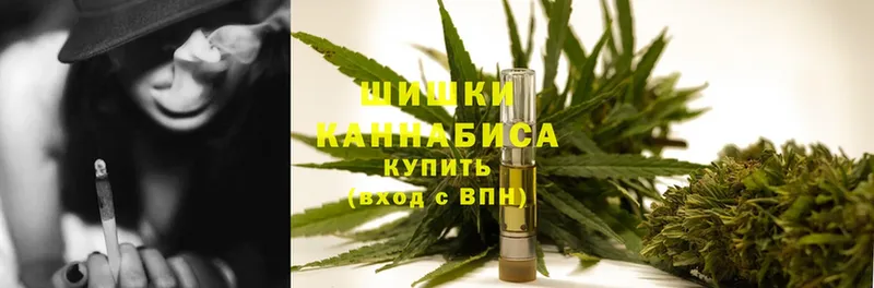 Бошки марихуана THC 21%  Котельнич 